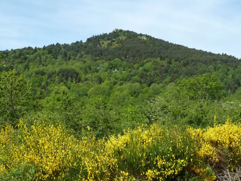 Paysage du Casteldos au-dessus du village du Bousquet